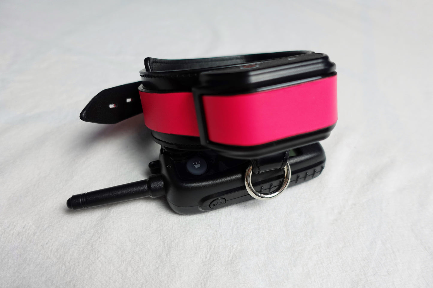 Shock Collar