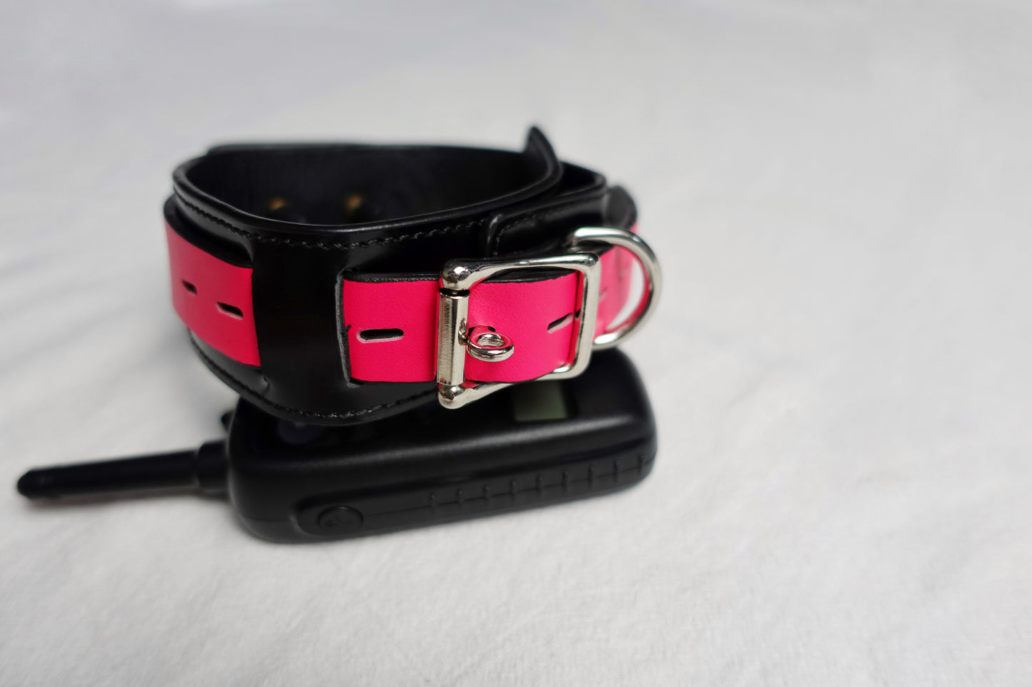 Shock Collar
