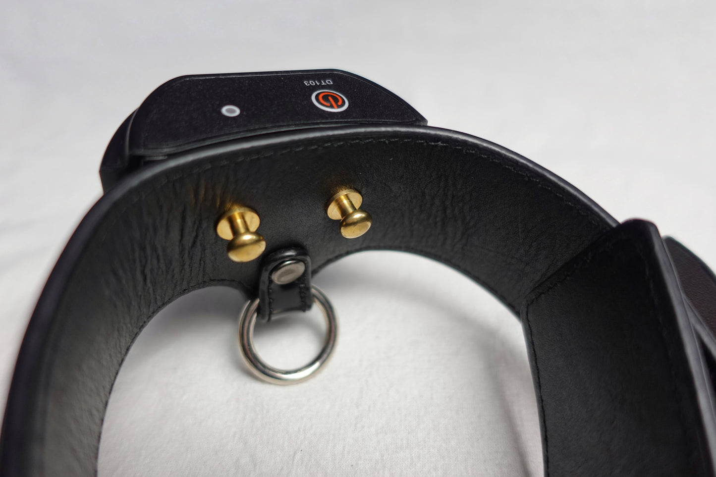 Shock Collar