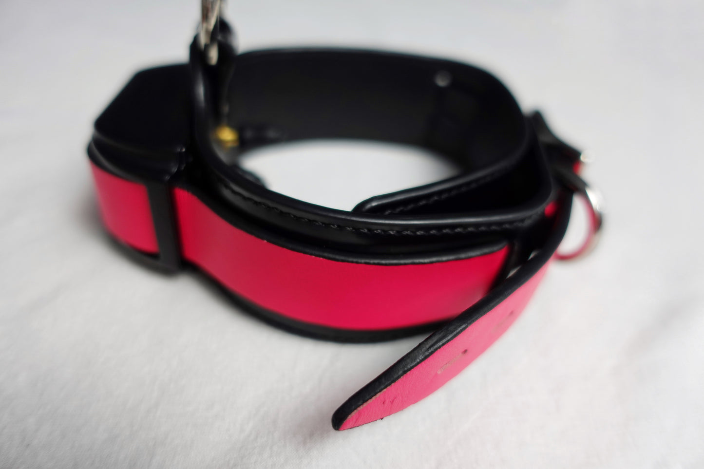 Shock Collar
